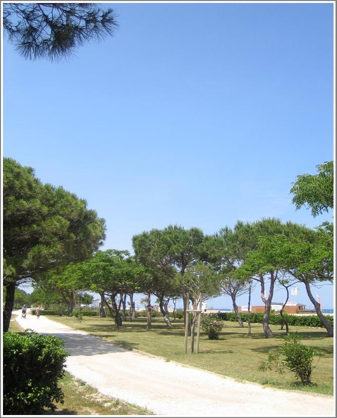 Locations Meublees Plage Des Pins Argeles-sur-Mer Ngoại thất bức ảnh
